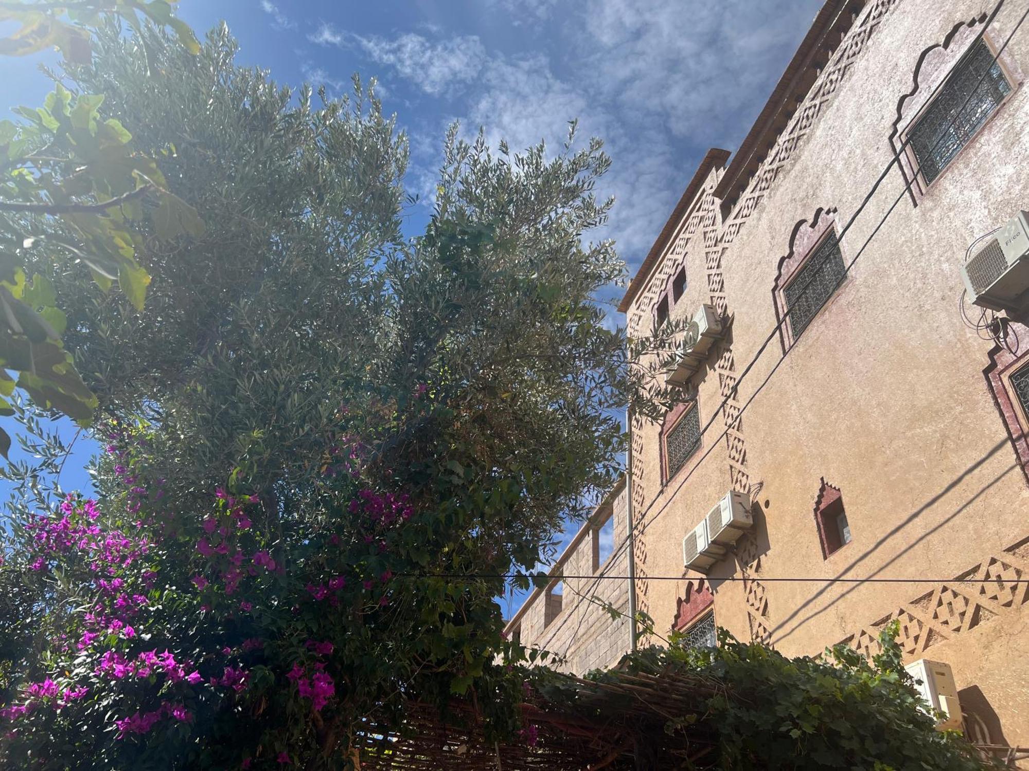 Dar Calme Chez El Bouhali Hotel Skoura Eksteriør billede